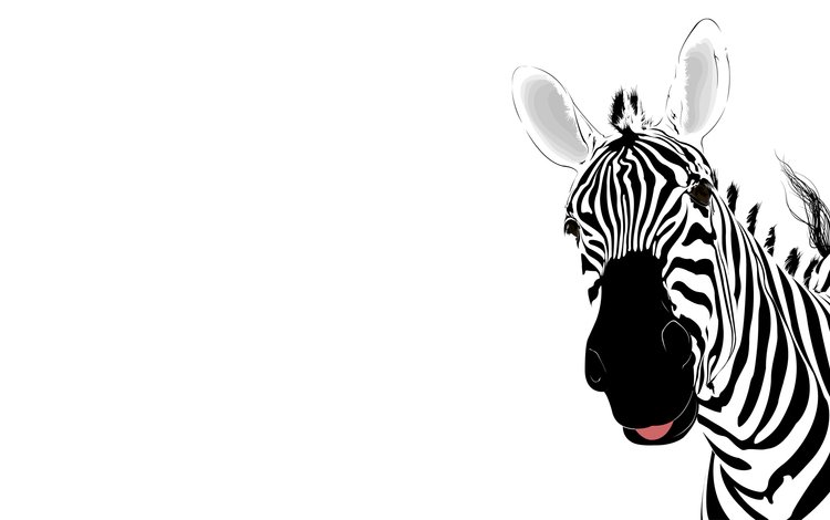 абстракция, зебра, полоски, abstraction, zebra, strips