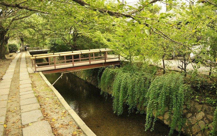 деревья, мост, япония, киото, восток, trees, bridge, japan, kyoto, east