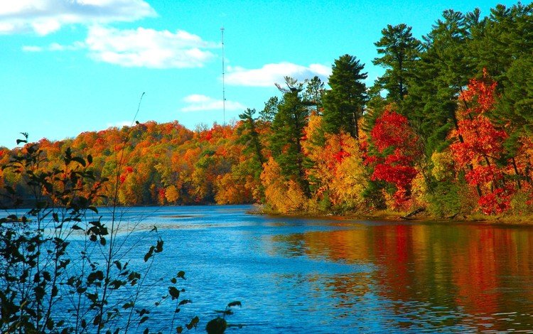вода, озеро, осень, холод, красочный пейзаж, water, lake, autumn, cold, colorful landscape