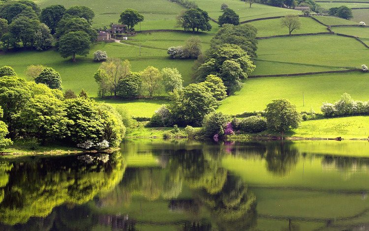 озеро, зелень, отражение, lake, greens, reflection