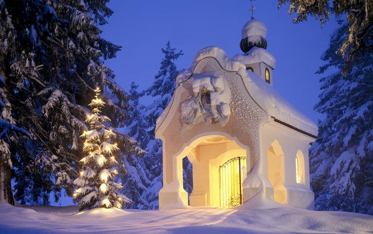 снег, елка, зима, рождество, часовня, snow, tree, winter, christmas, chapel