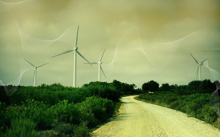 дорога, трава, линии, ветряки, ветротурбины, road, grass, line, windmills, wind turbine