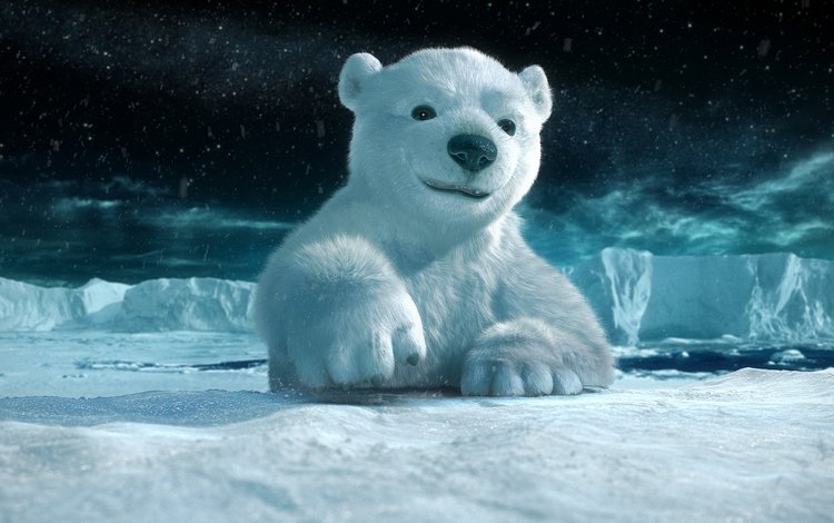 снег, полярный медведь, лёд, snow, polar bear, ice