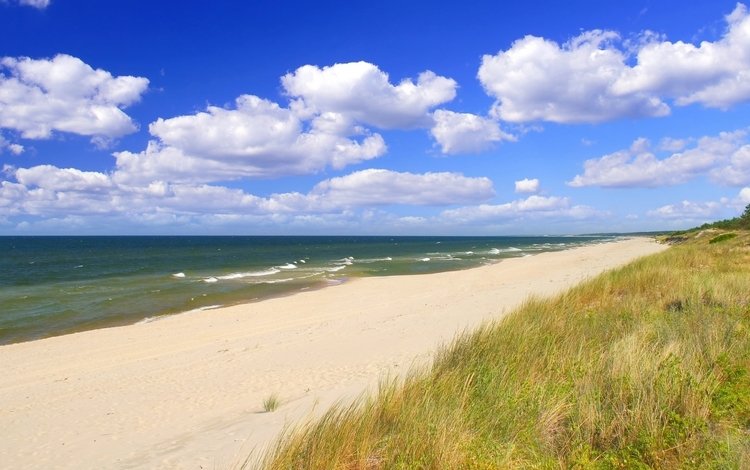 небо, облака, волны, песок, пляж, the sky, clouds, wave, sand, beach