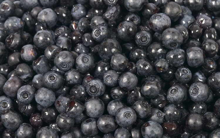 черная, черника, сладкая, black, blueberries, sweet
