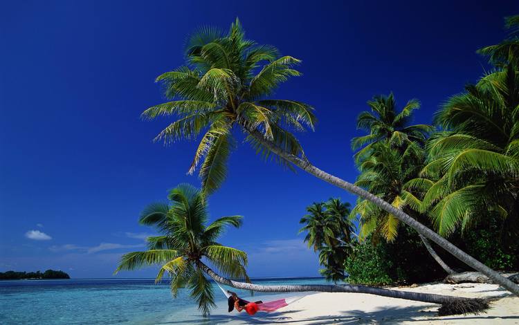 море, залив, пальмы, релакс, гамак, баунти, sea, bay, palm trees, relax, hammock, bounty