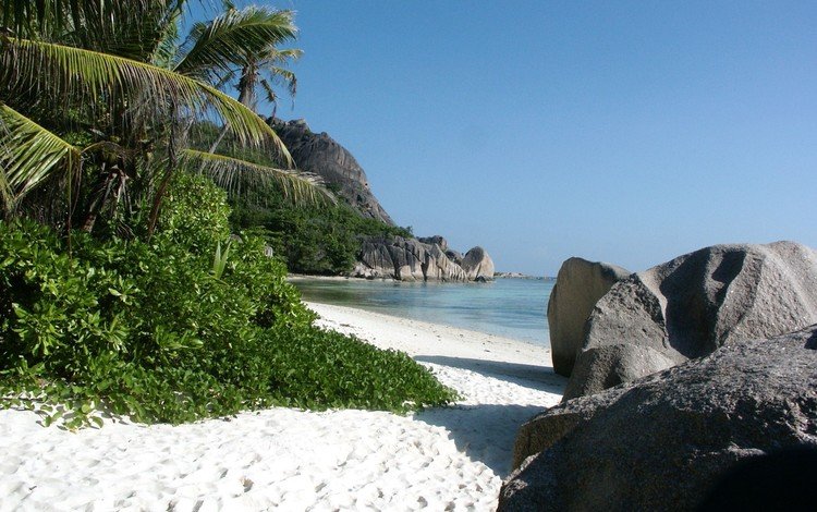 камни, море, песок, тропический пляж, тростник, stones, sea, sand, tropical beach, cane