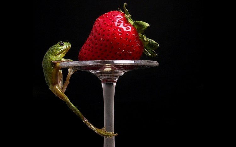 клубника, лягушка, strawberry, frog