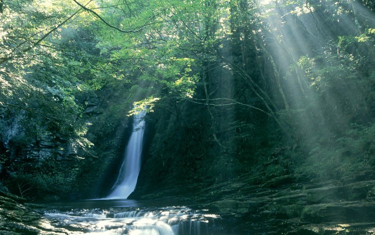 лес, лучи солнца, водопад, тропики, forest, the rays of the sun, waterfall, tropics