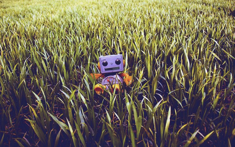 трава, робот, игрушечный, газон, grass, robot, toy, lawn