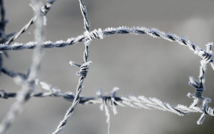 мороз, проволока, иней, колючая проволока, колючая, зона(, frost, wire, barbed wire, barbed, area(