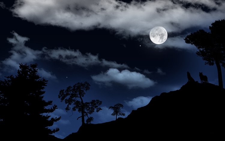 небо, ночь, обои, пейзаж, звезды, луна, волки, the sky, night, wallpaper, landscape, stars, the moon, wolves