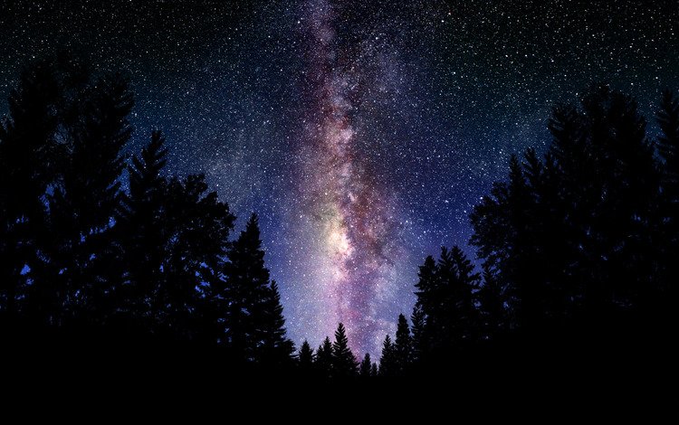 небо, млечный путь, ночь, космос, обои, лес, фото, звезды, пейзажи, the sky, the milky way, night, space, wallpaper, forest, photo, stars, landscapes