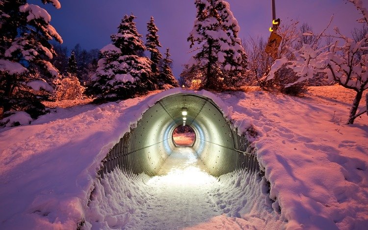 деревья, снег, зима, туннель, trees, snow, winter, the tunnel