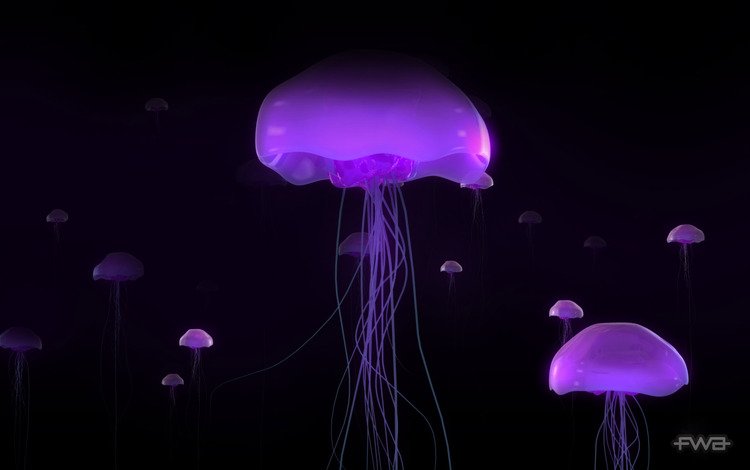 свечение, медузы, glow, jellyfish
