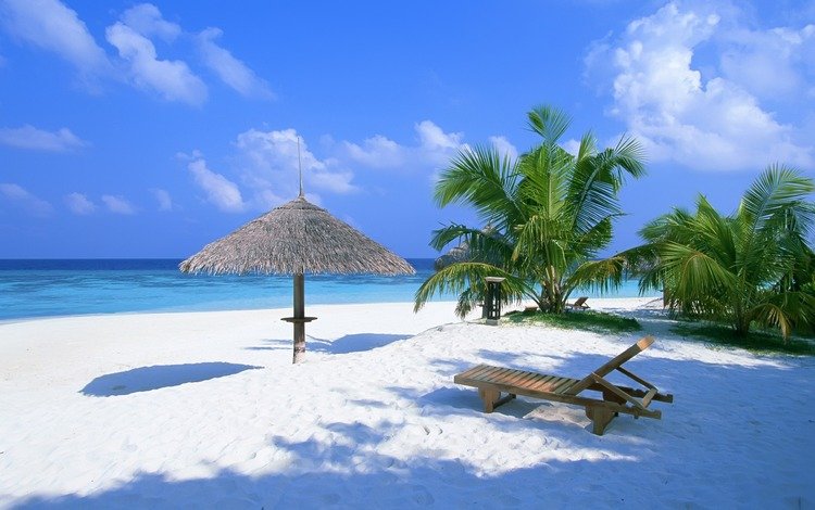 обои, шезлонг, песок, пляж, лето, пальмы, океан, навес, багамы, wallpaper, chaise, sand, beach, summer, palm trees, the ocean, canopy, bahamas