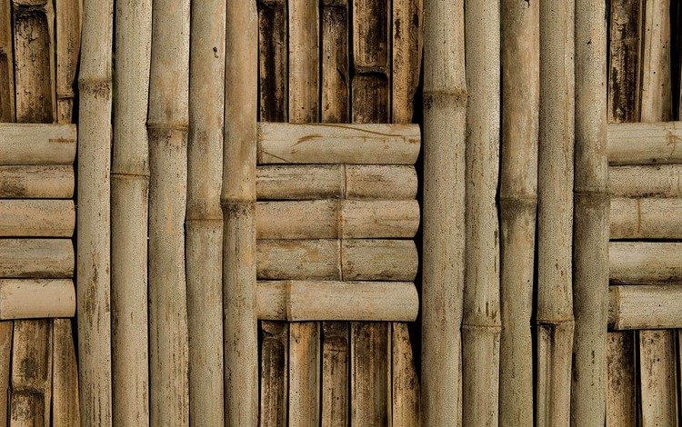 текстура, стена, бамбук, фактура, плетение, texture, wall, bamboo, netting