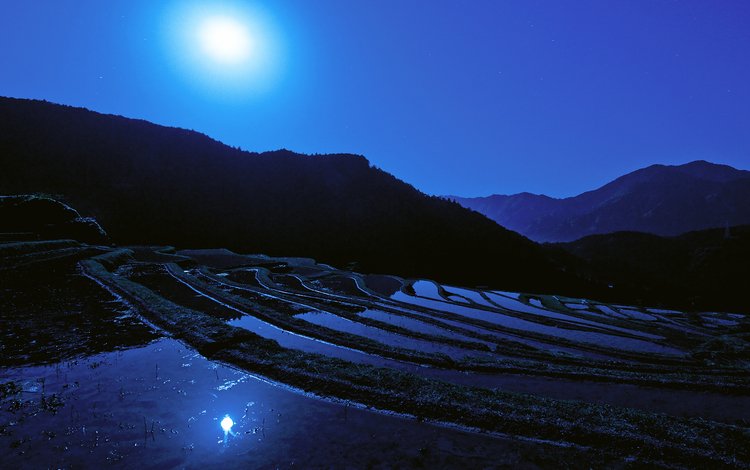 ночь, луна, япония, японии, moon, рисовое поле, night, the moon, japan, rice field