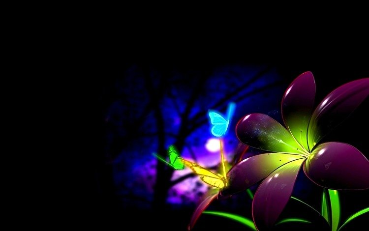 ночь, цветок, разноцветные, луна, бабочки, чёрный.фон, night, flower, colorful, the moon, butterfly, black.background