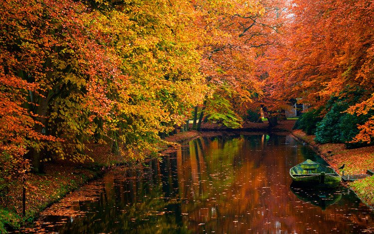 деревья, вода, фото, осень, красота, лодка, романтика, trees, water, photo, autumn, beauty, boat, romance