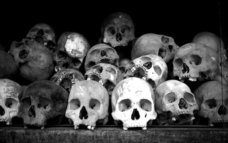 черно-белая, склад, кости, черепа, black and white, warehouse, bones, skull