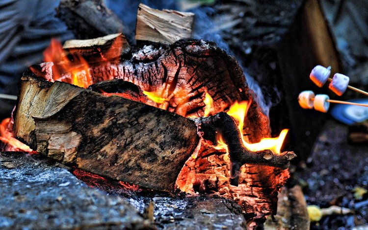 огонь, угли, костёр, древесина, fire, coal, the fire, wood