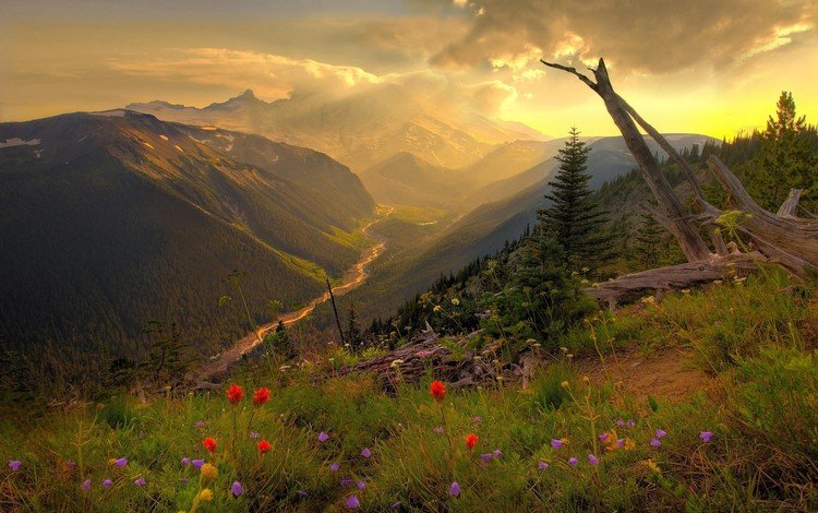 цветы, трава, облака, река, горы, природа, закат, flowers, grass, clouds, river, mountains, nature, sunset