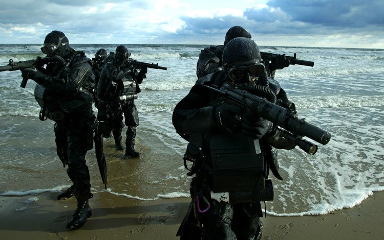 берег, морской спецназ, боевые, пловцы, море, автоматы, shore, marine special forces, combat, swimmers, sea, machines