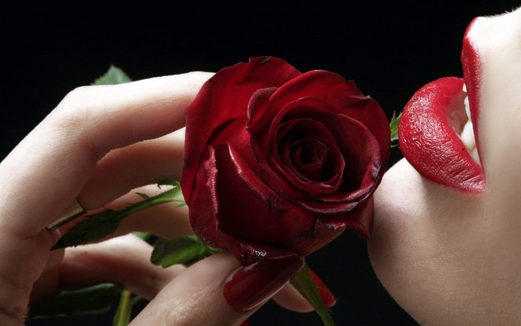 роза, губы, пальцы, rose, lips, fingers
