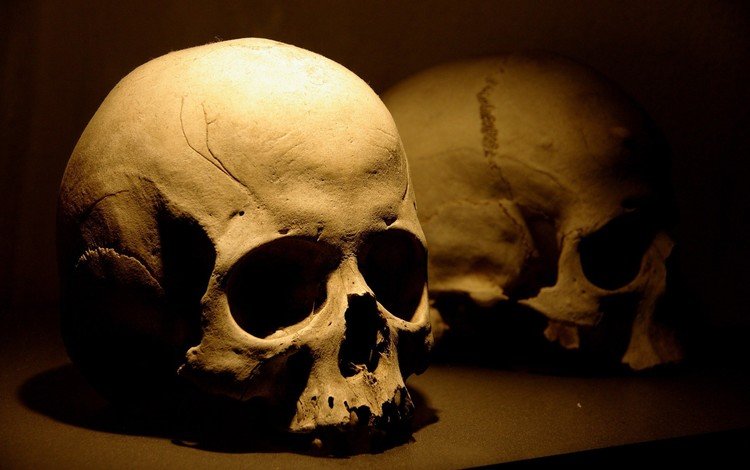 смерть, череп, death, skull