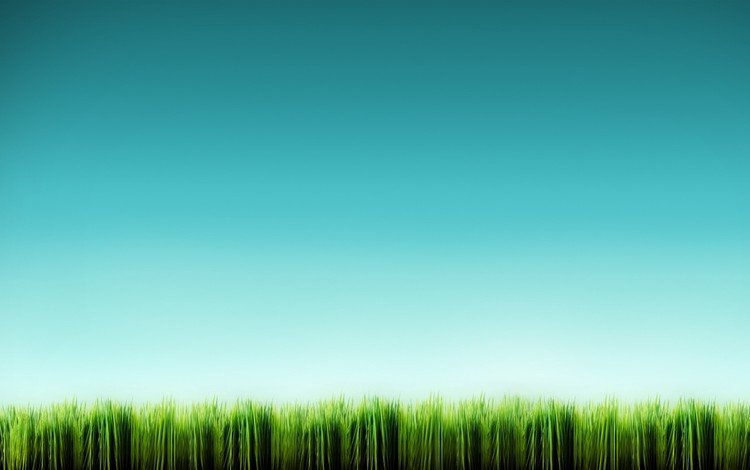 трава, синий, минимализм, grass, blue, minimalism