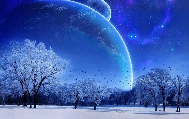 небо, деревья, зима, луна, голубой, the sky, trees, winter, the moon, blue
