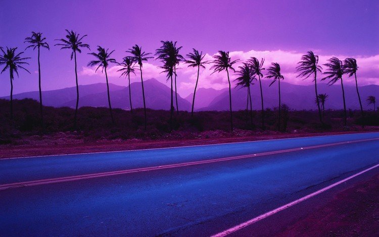 дорога, горы, цвет, пальмы, road, mountains, color, palm trees