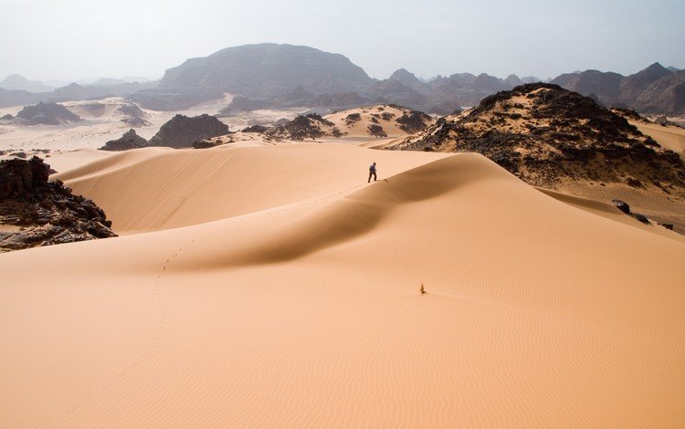 песок, пустыня, человек, дюны, sand, desert, people, dunes