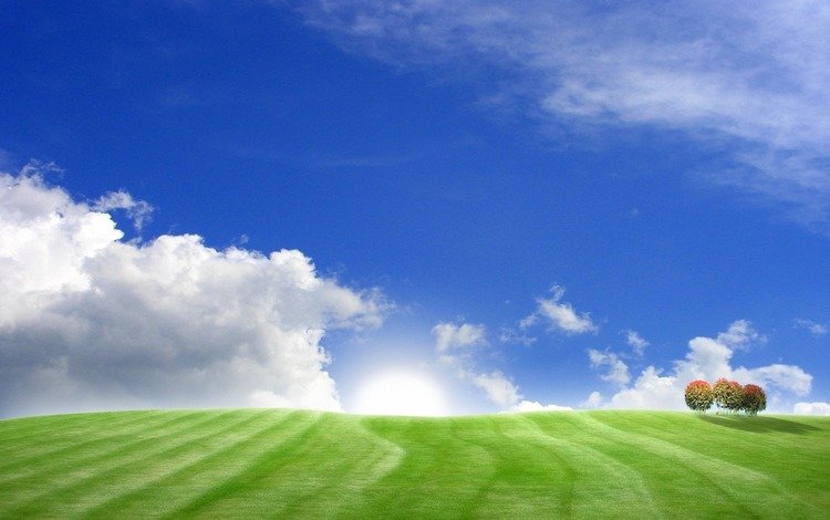 небо, трава, деревья, холмы, поля, поле, пейзажи, the sky, grass, trees, hills, field, landscapes