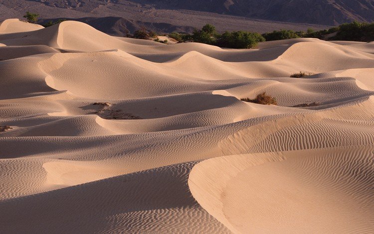 песок, пустыня, барханы, sand, desert, the dunes