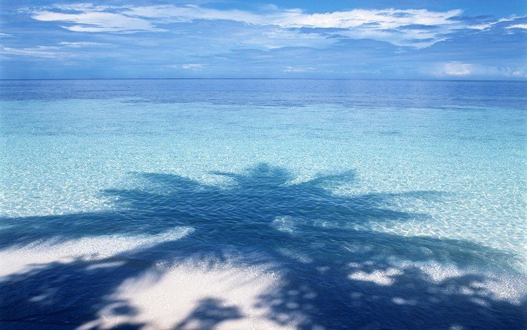 вода, синий, горизонт, тень, пальма, water, blue, horizon, shadow, palma