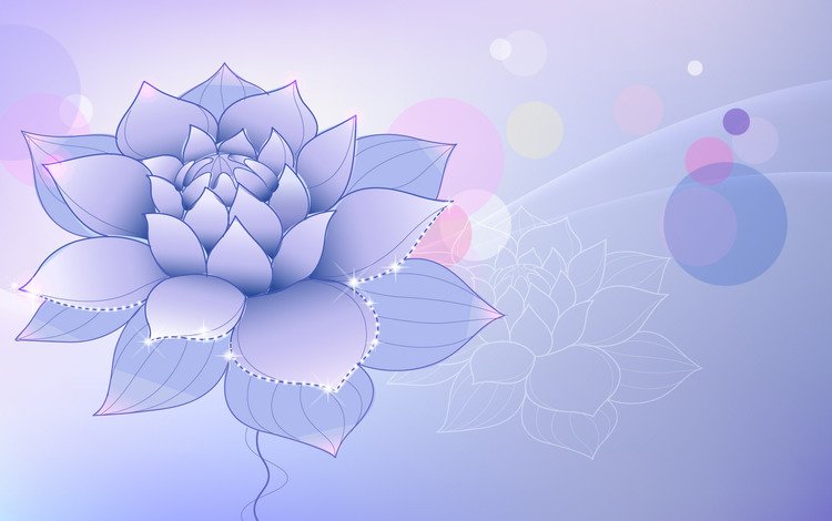 цветок, сиреневый, лотус, flower, lilac, lotus