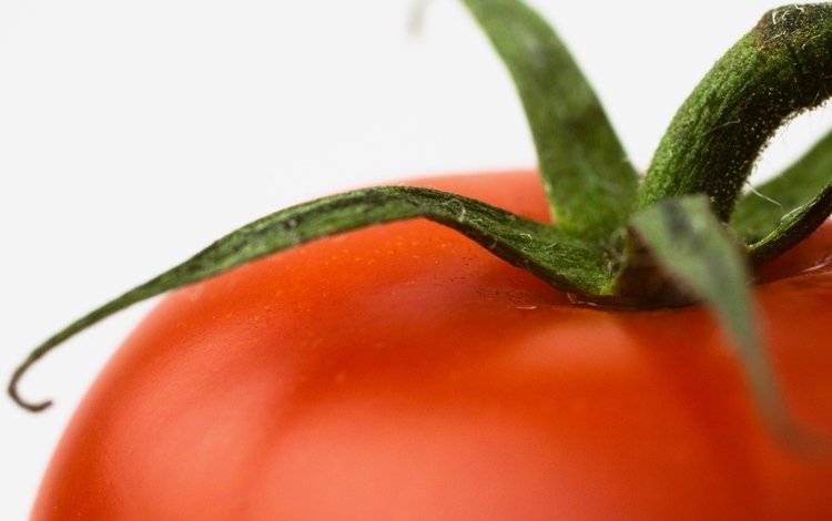 макро, красный, помидор, томат, плодоножка, macro, red, tomato, the peduncle