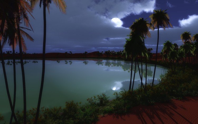 ночь, озеро, луна, пальмы, оазис, night, lake, the moon, palm trees, oasis