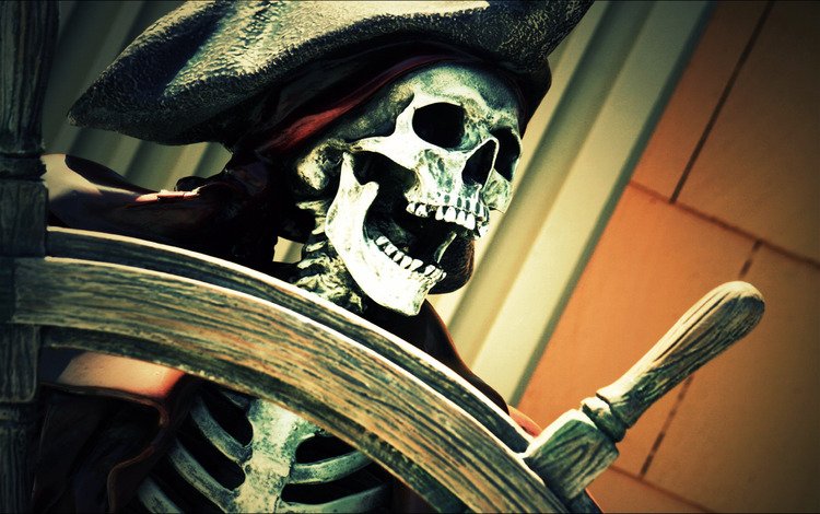 шляпа, скелет, пират, штурвал, челюсть, hat, skeleton, pirate, the wheel, jaw