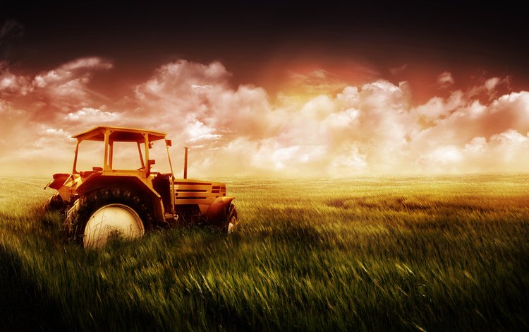 небо, трава, поле, пшеница, трактор, the sky, grass, field, wheat, tractor