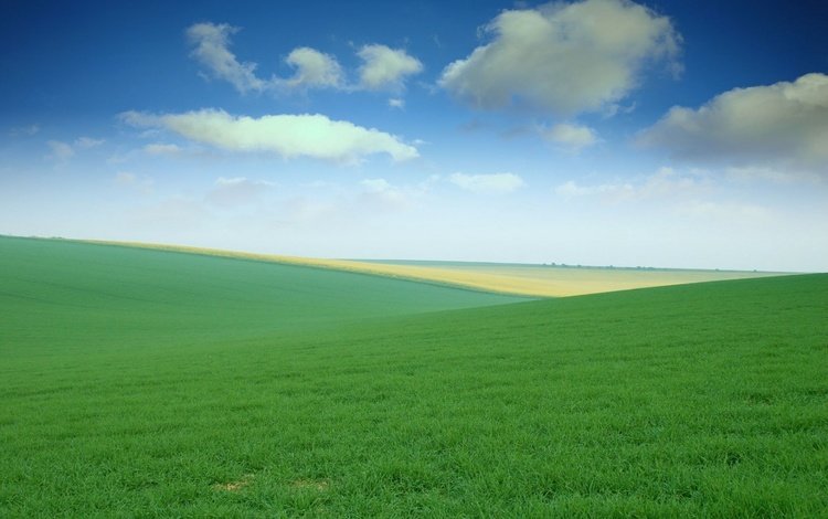 небо, трава, поля, просторы, луга, the sky, grass, field, spaces, meadows