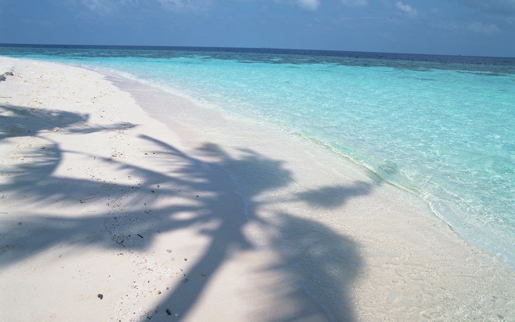 пляж, побережье, тень, океан, пальма, beach, coast, shadow, the ocean, palma