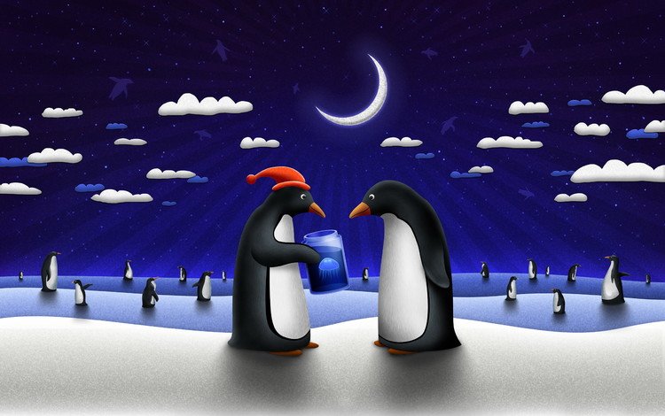 луна, пара, пингвин, the moon, pair, penguin