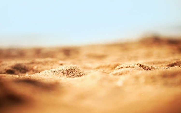 природа, обои, макро, песок, пляж, песка, nature, wallpaper, macro, sand, beach