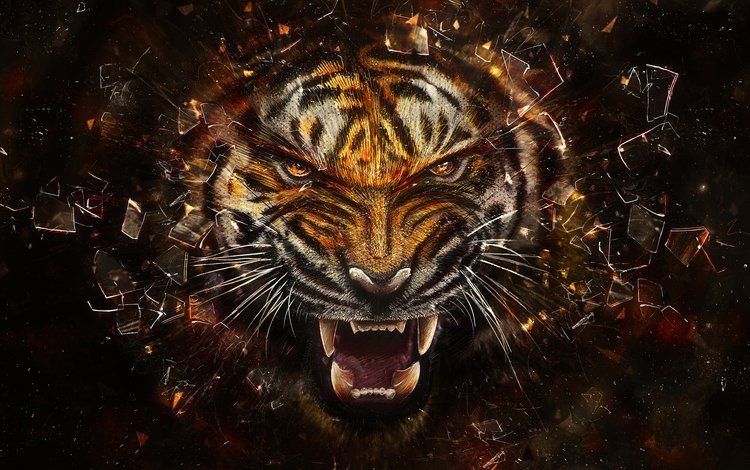 тигр, осколки, стекло, tiger, fragments, glass