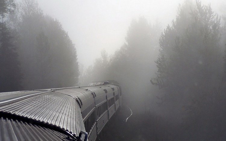 туман, поезд, вагоны, fog, train, cars