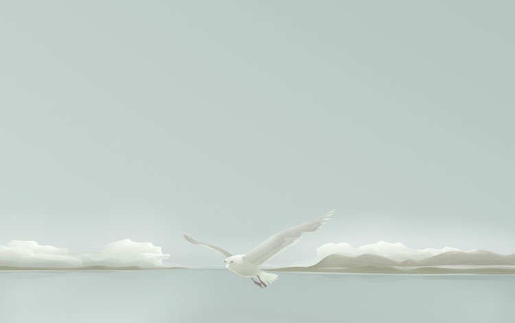 вектор, чайка, минимализм, vector, seagull, minimalism