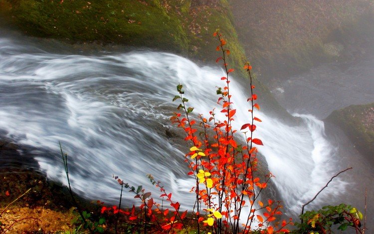 река, листья, водопад, осень, river, leaves, waterfall, autumn